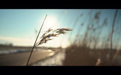 Filmische Museumstour “Grenzen”